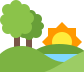 Trees and a rising sun