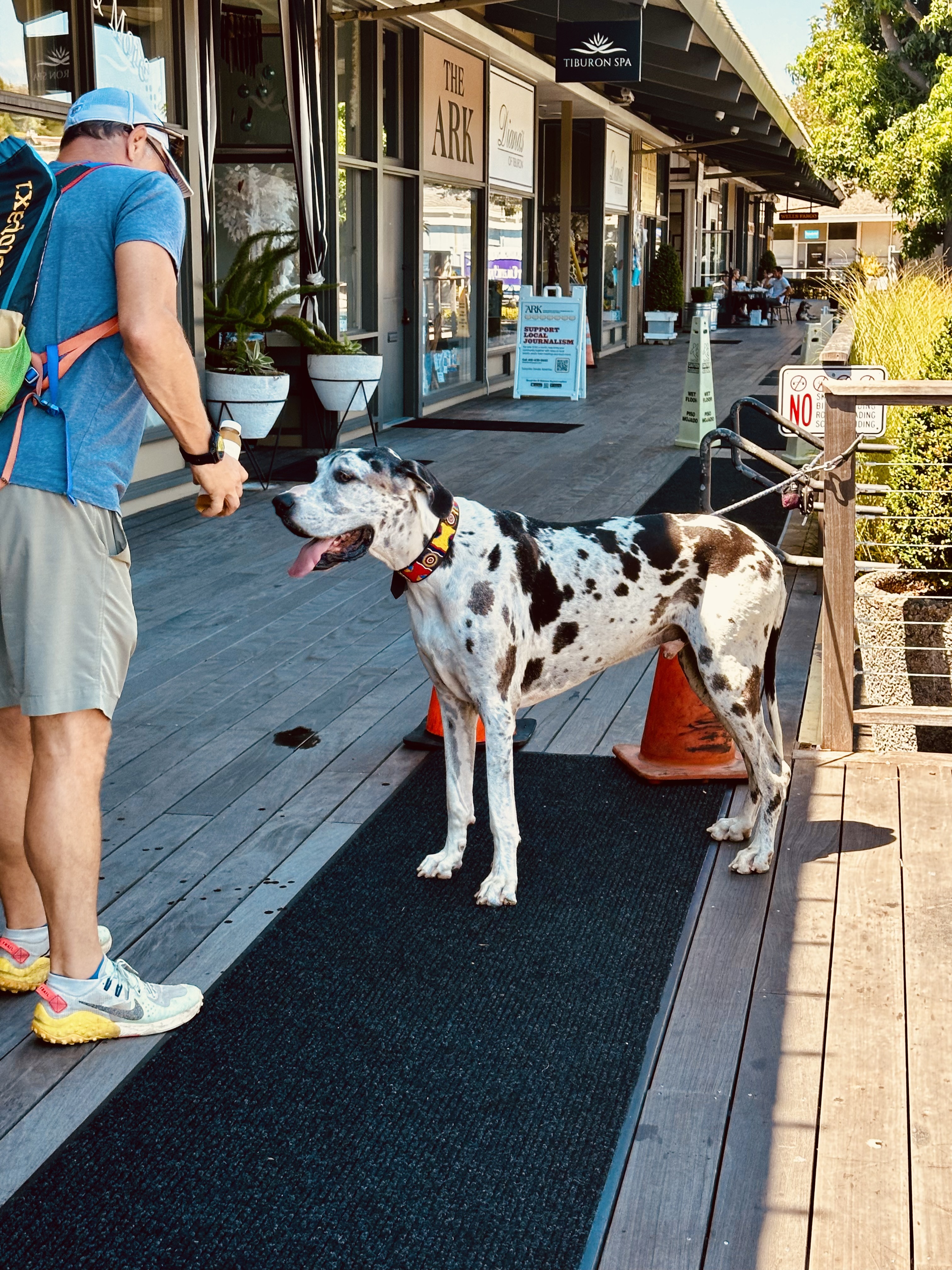 Tiburon Boardwalk with dogs